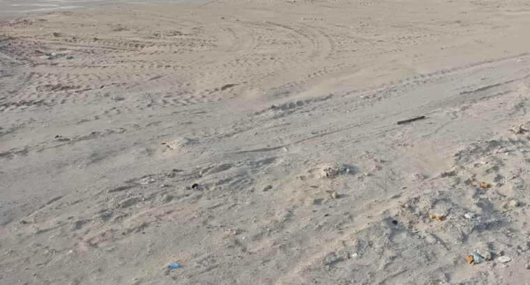 Private Plot for Sale on Amman Street, Al Qusais – Ideal for Commercial or Residential Building